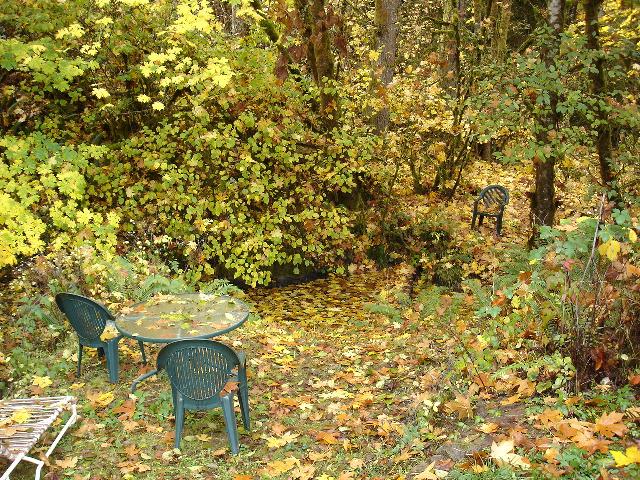 The swimming hole in fall. . .