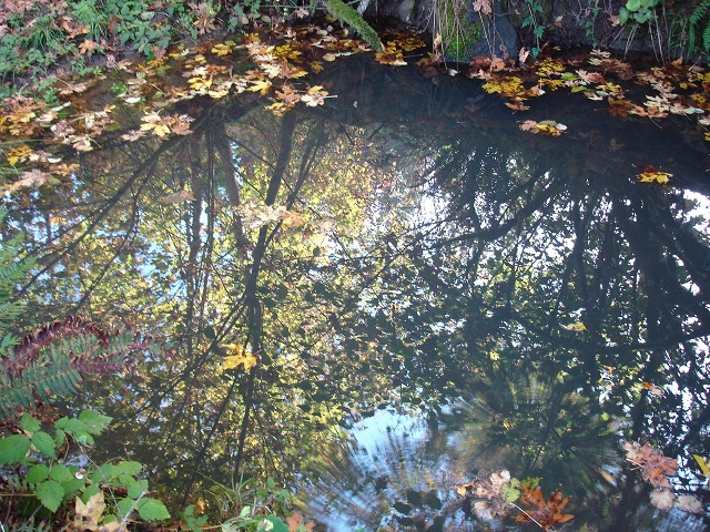 Another view of the swimming hole in fall. . .