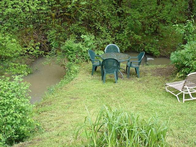 Lower terrace next to the swimming hole in the creek. . .